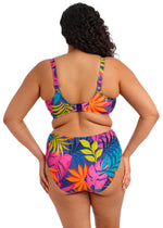 Load image into Gallery viewer, Elomi's Porto Rafti Plunge Bikini Top
